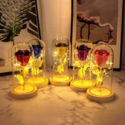 Eternal Rose Flowers LED Light In Glass Eternal Rose Flowers LED Light In Glass Cover