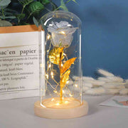 Eternal Rose Flowers LED Light In Glass Eternal Rose Flowers LED Light In Glass Cover