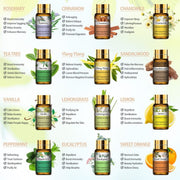 Pure Essential Oils 15pcs Set Pure Essential Oils 15pcs Gift Set Natural Plant Aroma