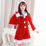 Santa Claus costume Red / O Santa Claus costume For Ladies